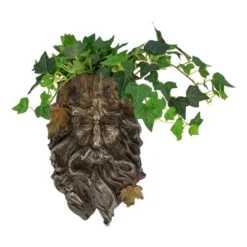 Northlight 10.25" Brown Tree Face Outdoor Garden Planter -Northlight GUEST a3e90077 7fe9 4b7a a001 f495c0ab3453